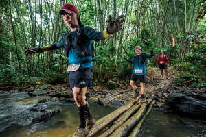 BIB: 
                            <button type="button" onclick="openModal(26495639)" class="btn btn-primary btn-sm float-right btn-popup" data-toggle="modal" data-target=".modal-high-quality">
                        <i class="fas fa-shopping-cart"></i> Add to Cart
                    </button>
                                            <button type="button" onclick="isThisMe(26495639, true)" class="btn btn-success btn-sm float-right btn-popup btn-isme hidden" data-toggle="tooltip" data-placement="bottom" title="นี่คือรูปของคุณใช่ไหม คลิกที่นี่เพื่อเอาเข้าอัลบั้ม">
                        <i class="fas fa-plus"></i> Add to album
                    </button>
                    <button type="button" onclick="isThisMe(26495639, false)" class="btn btn-warning btn-sm float-right btn-popup btn-isnotme hidden">
                        <i class="fas fa-ban"></i> Remove from album
                    </button>