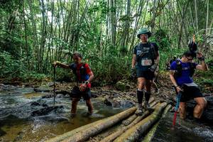 BIB: 
                            <button type="button" onclick="openModal(26455276)" class="btn btn-primary btn-sm float-right btn-popup" data-toggle="modal" data-target=".modal-high-quality">
                        <i class="fas fa-shopping-cart"></i> Add to Cart
                    </button>
                                            <button type="button" onclick="isThisMe(26455276, true)" class="btn btn-success btn-sm float-right btn-popup btn-isme hidden" data-toggle="tooltip" data-placement="bottom" title="นี่คือรูปของคุณใช่ไหม คลิกที่นี่เพื่อเอาเข้าอัลบั้ม">
                        <i class="fas fa-plus"></i> Add to album
                    </button>
                    <button type="button" onclick="isThisMe(26455276, false)" class="btn btn-warning btn-sm float-right btn-popup btn-isnotme hidden">
                        <i class="fas fa-ban"></i> Remove from album
                    </button>