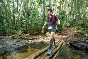 BIB: 
                            <button type="button" onclick="openModal(26439895)" class="btn btn-primary btn-sm float-right btn-popup" data-toggle="modal" data-target=".modal-high-quality">
                        <i class="fas fa-shopping-cart"></i> Add to Cart
                    </button>
                                            <button type="button" onclick="isThisMe(26439895, true)" class="btn btn-success btn-sm float-right btn-popup btn-isme hidden" data-toggle="tooltip" data-placement="bottom" title="นี่คือรูปของคุณใช่ไหม คลิกที่นี่เพื่อเอาเข้าอัลบั้ม">
                        <i class="fas fa-plus"></i> Add to album
                    </button>
                    <button type="button" onclick="isThisMe(26439895, false)" class="btn btn-warning btn-sm float-right btn-popup btn-isnotme hidden">
                        <i class="fas fa-ban"></i> Remove from album
                    </button>