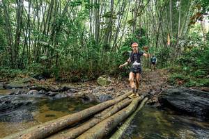 BIB: 
                            <button type="button" onclick="openModal(26441423)" class="btn btn-primary btn-sm float-right btn-popup" data-toggle="modal" data-target=".modal-high-quality">
                        <i class="fas fa-shopping-cart"></i> Add to Cart
                    </button>
                                            <button type="button" onclick="isThisMe(26441423, true)" class="btn btn-success btn-sm float-right btn-popup btn-isme hidden" data-toggle="tooltip" data-placement="bottom" title="นี่คือรูปของคุณใช่ไหม คลิกที่นี่เพื่อเอาเข้าอัลบั้ม">
                        <i class="fas fa-plus"></i> Add to album
                    </button>
                    <button type="button" onclick="isThisMe(26441423, false)" class="btn btn-warning btn-sm float-right btn-popup btn-isnotme hidden">
                        <i class="fas fa-ban"></i> Remove from album
                    </button>