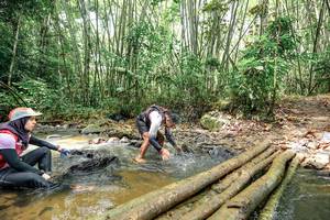 BIB: 
                            <button type="button" onclick="openModal(26447618)" class="btn btn-primary btn-sm float-right btn-popup" data-toggle="modal" data-target=".modal-high-quality">
                        <i class="fas fa-shopping-cart"></i> Add to Cart
                    </button>
                                            <button type="button" onclick="isThisMe(26447618, true)" class="btn btn-success btn-sm float-right btn-popup btn-isme hidden" data-toggle="tooltip" data-placement="bottom" title="นี่คือรูปของคุณใช่ไหม คลิกที่นี่เพื่อเอาเข้าอัลบั้ม">
                        <i class="fas fa-plus"></i> Add to album
                    </button>
                    <button type="button" onclick="isThisMe(26447618, false)" class="btn btn-warning btn-sm float-right btn-popup btn-isnotme hidden">
                        <i class="fas fa-ban"></i> Remove from album
                    </button>