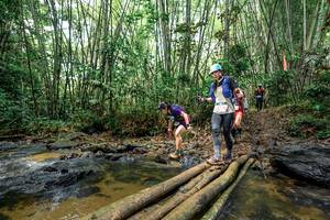 BIB: 
                            <button type="button" onclick="openModal(26452231)" class="btn btn-primary btn-sm float-right btn-popup" data-toggle="modal" data-target=".modal-high-quality">
                        <i class="fas fa-shopping-cart"></i> Add to Cart
                    </button>
                                            <button type="button" onclick="isThisMe(26452231, true)" class="btn btn-success btn-sm float-right btn-popup btn-isme hidden" data-toggle="tooltip" data-placement="bottom" title="นี่คือรูปของคุณใช่ไหม คลิกที่นี่เพื่อเอาเข้าอัลบั้ม">
                        <i class="fas fa-plus"></i> Add to album
                    </button>
                    <button type="button" onclick="isThisMe(26452231, false)" class="btn btn-warning btn-sm float-right btn-popup btn-isnotme hidden">
                        <i class="fas fa-ban"></i> Remove from album
                    </button>