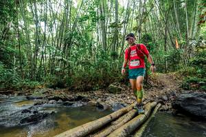 BIB: 
                            <button type="button" onclick="openModal(26461308)" class="btn btn-primary btn-sm float-right btn-popup" data-toggle="modal" data-target=".modal-high-quality">
                        <i class="fas fa-shopping-cart"></i> Add to Cart
                    </button>
                                            <button type="button" onclick="isThisMe(26461308, true)" class="btn btn-success btn-sm float-right btn-popup btn-isme hidden" data-toggle="tooltip" data-placement="bottom" title="นี่คือรูปของคุณใช่ไหม คลิกที่นี่เพื่อเอาเข้าอัลบั้ม">
                        <i class="fas fa-plus"></i> Add to album
                    </button>
                    <button type="button" onclick="isThisMe(26461308, false)" class="btn btn-warning btn-sm float-right btn-popup btn-isnotme hidden">
                        <i class="fas fa-ban"></i> Remove from album
                    </button>