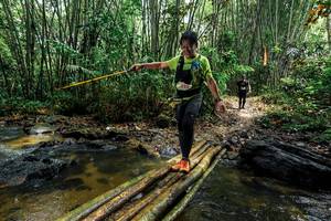 BIB: 
                            <button type="button" onclick="openModal(26496256)" class="btn btn-primary btn-sm float-right btn-popup" data-toggle="modal" data-target=".modal-high-quality">
                        <i class="fas fa-shopping-cart"></i> Add to Cart
                    </button>
                                            <button type="button" onclick="isThisMe(26496256, true)" class="btn btn-success btn-sm float-right btn-popup btn-isme hidden" data-toggle="tooltip" data-placement="bottom" title="นี่คือรูปของคุณใช่ไหม คลิกที่นี่เพื่อเอาเข้าอัลบั้ม">
                        <i class="fas fa-plus"></i> Add to album
                    </button>
                    <button type="button" onclick="isThisMe(26496256, false)" class="btn btn-warning btn-sm float-right btn-popup btn-isnotme hidden">
                        <i class="fas fa-ban"></i> Remove from album
                    </button>