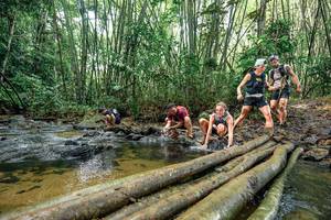 BIB: 
                            <button type="button" onclick="openModal(26437463)" class="btn btn-primary btn-sm float-right btn-popup" data-toggle="modal" data-target=".modal-high-quality">
                        <i class="fas fa-shopping-cart"></i> Add to Cart
                    </button>
                                            <button type="button" onclick="isThisMe(26437463, true)" class="btn btn-success btn-sm float-right btn-popup btn-isme hidden" data-toggle="tooltip" data-placement="bottom" title="นี่คือรูปของคุณใช่ไหม คลิกที่นี่เพื่อเอาเข้าอัลบั้ม">
                        <i class="fas fa-plus"></i> Add to album
                    </button>
                    <button type="button" onclick="isThisMe(26437463, false)" class="btn btn-warning btn-sm float-right btn-popup btn-isnotme hidden">
                        <i class="fas fa-ban"></i> Remove from album
                    </button>