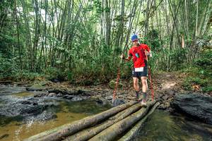 BIB: 
                            <button type="button" onclick="openModal(26443335)" class="btn btn-primary btn-sm float-right btn-popup" data-toggle="modal" data-target=".modal-high-quality">
                        <i class="fas fa-shopping-cart"></i> Add to Cart
                    </button>
                                            <button type="button" onclick="isThisMe(26443335, true)" class="btn btn-success btn-sm float-right btn-popup btn-isme hidden" data-toggle="tooltip" data-placement="bottom" title="นี่คือรูปของคุณใช่ไหม คลิกที่นี่เพื่อเอาเข้าอัลบั้ม">
                        <i class="fas fa-plus"></i> Add to album
                    </button>
                    <button type="button" onclick="isThisMe(26443335, false)" class="btn btn-warning btn-sm float-right btn-popup btn-isnotme hidden">
                        <i class="fas fa-ban"></i> Remove from album
                    </button>