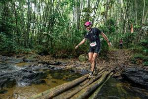 BIB: 
                            <button type="button" onclick="openModal(26442912)" class="btn btn-primary btn-sm float-right btn-popup" data-toggle="modal" data-target=".modal-high-quality">
                        <i class="fas fa-shopping-cart"></i> Add to Cart
                    </button>
                                            <button type="button" onclick="isThisMe(26442912, true)" class="btn btn-success btn-sm float-right btn-popup btn-isme hidden" data-toggle="tooltip" data-placement="bottom" title="นี่คือรูปของคุณใช่ไหม คลิกที่นี่เพื่อเอาเข้าอัลบั้ม">
                        <i class="fas fa-plus"></i> Add to album
                    </button>
                    <button type="button" onclick="isThisMe(26442912, false)" class="btn btn-warning btn-sm float-right btn-popup btn-isnotme hidden">
                        <i class="fas fa-ban"></i> Remove from album
                    </button>