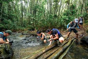 BIB: 
                            <button type="button" onclick="openModal(26434407)" class="btn btn-primary btn-sm float-right btn-popup" data-toggle="modal" data-target=".modal-high-quality">
                        <i class="fas fa-shopping-cart"></i> Add to Cart
                    </button>
                                            <button type="button" onclick="isThisMe(26434407, true)" class="btn btn-success btn-sm float-right btn-popup btn-isme hidden" data-toggle="tooltip" data-placement="bottom" title="นี่คือรูปของคุณใช่ไหม คลิกที่นี่เพื่อเอาเข้าอัลบั้ม">
                        <i class="fas fa-plus"></i> Add to album
                    </button>
                    <button type="button" onclick="isThisMe(26434407, false)" class="btn btn-warning btn-sm float-right btn-popup btn-isnotme hidden">
                        <i class="fas fa-ban"></i> Remove from album
                    </button>