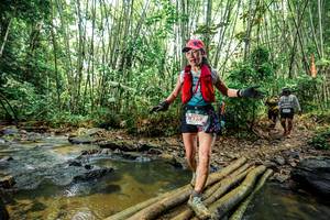 BIB: 
                            <button type="button" onclick="openModal(26448457)" class="btn btn-primary btn-sm float-right btn-popup" data-toggle="modal" data-target=".modal-high-quality">
                        <i class="fas fa-shopping-cart"></i> Add to Cart
                    </button>
                                            <button type="button" onclick="isThisMe(26448457, true)" class="btn btn-success btn-sm float-right btn-popup btn-isme hidden" data-toggle="tooltip" data-placement="bottom" title="นี่คือรูปของคุณใช่ไหม คลิกที่นี่เพื่อเอาเข้าอัลบั้ม">
                        <i class="fas fa-plus"></i> Add to album
                    </button>
                    <button type="button" onclick="isThisMe(26448457, false)" class="btn btn-warning btn-sm float-right btn-popup btn-isnotme hidden">
                        <i class="fas fa-ban"></i> Remove from album
                    </button>