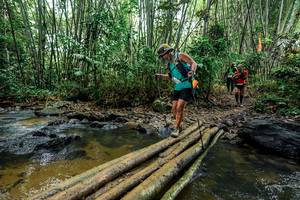 BIB: 
                            <button type="button" onclick="openModal(26478977)" class="btn btn-primary btn-sm float-right btn-popup" data-toggle="modal" data-target=".modal-high-quality">
                        <i class="fas fa-shopping-cart"></i> Add to Cart
                    </button>
                                            <button type="button" onclick="isThisMe(26478977, true)" class="btn btn-success btn-sm float-right btn-popup btn-isme hidden" data-toggle="tooltip" data-placement="bottom" title="นี่คือรูปของคุณใช่ไหม คลิกที่นี่เพื่อเอาเข้าอัลบั้ม">
                        <i class="fas fa-plus"></i> Add to album
                    </button>
                    <button type="button" onclick="isThisMe(26478977, false)" class="btn btn-warning btn-sm float-right btn-popup btn-isnotme hidden">
                        <i class="fas fa-ban"></i> Remove from album
                    </button>