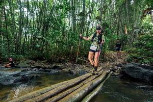 BIB: 
                            <button type="button" onclick="openModal(26489785)" class="btn btn-primary btn-sm float-right btn-popup" data-toggle="modal" data-target=".modal-high-quality">
                        <i class="fas fa-shopping-cart"></i> Add to Cart
                    </button>
                                            <button type="button" onclick="isThisMe(26489785, true)" class="btn btn-success btn-sm float-right btn-popup btn-isme hidden" data-toggle="tooltip" data-placement="bottom" title="นี่คือรูปของคุณใช่ไหม คลิกที่นี่เพื่อเอาเข้าอัลบั้ม">
                        <i class="fas fa-plus"></i> Add to album
                    </button>
                    <button type="button" onclick="isThisMe(26489785, false)" class="btn btn-warning btn-sm float-right btn-popup btn-isnotme hidden">
                        <i class="fas fa-ban"></i> Remove from album
                    </button>