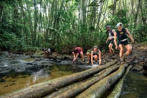 BIB: 
                            <button type="button" onclick="openModal(26437614)" class="btn btn-primary btn-sm float-right btn-popup" data-toggle="modal" data-target=".modal-high-quality">
                        <i class="fas fa-shopping-cart"></i> Add to Cart
                    </button>
                                            <button type="button" onclick="isThisMe(26437614, true)" class="btn btn-success btn-sm float-right btn-popup btn-isme hidden" data-toggle="tooltip" data-placement="bottom" title="นี่คือรูปของคุณใช่ไหม คลิกที่นี่เพื่อเอาเข้าอัลบั้ม">
                        <i class="fas fa-plus"></i> Add to album
                    </button>
                    <button type="button" onclick="isThisMe(26437614, false)" class="btn btn-warning btn-sm float-right btn-popup btn-isnotme hidden">
                        <i class="fas fa-ban"></i> Remove from album
                    </button>