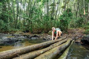 BIB: 
                            <button type="button" onclick="openModal(26447551)" class="btn btn-primary btn-sm float-right btn-popup" data-toggle="modal" data-target=".modal-high-quality">
                        <i class="fas fa-shopping-cart"></i> Add to Cart
                    </button>
                                            <button type="button" onclick="isThisMe(26447551, true)" class="btn btn-success btn-sm float-right btn-popup btn-isme hidden" data-toggle="tooltip" data-placement="bottom" title="นี่คือรูปของคุณใช่ไหม คลิกที่นี่เพื่อเอาเข้าอัลบั้ม">
                        <i class="fas fa-plus"></i> Add to album
                    </button>
                    <button type="button" onclick="isThisMe(26447551, false)" class="btn btn-warning btn-sm float-right btn-popup btn-isnotme hidden">
                        <i class="fas fa-ban"></i> Remove from album
                    </button>