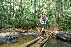 BIB: 
                            <button type="button" onclick="openModal(26444280)" class="btn btn-primary btn-sm float-right btn-popup" data-toggle="modal" data-target=".modal-high-quality">
                        <i class="fas fa-shopping-cart"></i> Add to Cart
                    </button>
                                            <button type="button" onclick="isThisMe(26444280, true)" class="btn btn-success btn-sm float-right btn-popup btn-isme hidden" data-toggle="tooltip" data-placement="bottom" title="นี่คือรูปของคุณใช่ไหม คลิกที่นี่เพื่อเอาเข้าอัลบั้ม">
                        <i class="fas fa-plus"></i> Add to album
                    </button>
                    <button type="button" onclick="isThisMe(26444280, false)" class="btn btn-warning btn-sm float-right btn-popup btn-isnotme hidden">
                        <i class="fas fa-ban"></i> Remove from album
                    </button>