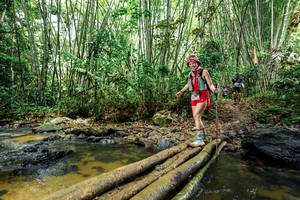 BIB: 
                            <button type="button" onclick="openModal(26503701)" class="btn btn-primary btn-sm float-right btn-popup" data-toggle="modal" data-target=".modal-high-quality">
                        <i class="fas fa-shopping-cart"></i> Add to Cart
                    </button>
                                            <button type="button" onclick="isThisMe(26503701, true)" class="btn btn-success btn-sm float-right btn-popup btn-isme hidden" data-toggle="tooltip" data-placement="bottom" title="นี่คือรูปของคุณใช่ไหม คลิกที่นี่เพื่อเอาเข้าอัลบั้ม">
                        <i class="fas fa-plus"></i> Add to album
                    </button>
                    <button type="button" onclick="isThisMe(26503701, false)" class="btn btn-warning btn-sm float-right btn-popup btn-isnotme hidden">
                        <i class="fas fa-ban"></i> Remove from album
                    </button>