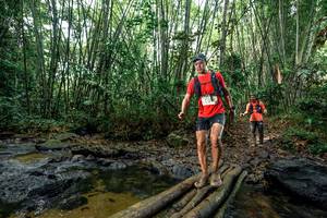 BIB: 
                            <button type="button" onclick="openModal(26442535)" class="btn btn-primary btn-sm float-right btn-popup" data-toggle="modal" data-target=".modal-high-quality">
                        <i class="fas fa-shopping-cart"></i> Add to Cart
                    </button>
                                            <button type="button" onclick="isThisMe(26442535, true)" class="btn btn-success btn-sm float-right btn-popup btn-isme hidden" data-toggle="tooltip" data-placement="bottom" title="นี่คือรูปของคุณใช่ไหม คลิกที่นี่เพื่อเอาเข้าอัลบั้ม">
                        <i class="fas fa-plus"></i> Add to album
                    </button>
                    <button type="button" onclick="isThisMe(26442535, false)" class="btn btn-warning btn-sm float-right btn-popup btn-isnotme hidden">
                        <i class="fas fa-ban"></i> Remove from album
                    </button>