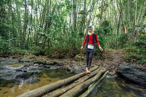 BIB: 
                            <button type="button" onclick="openModal(26435806)" class="btn btn-primary btn-sm float-right btn-popup" data-toggle="modal" data-target=".modal-high-quality">
                        <i class="fas fa-shopping-cart"></i> Add to Cart
                    </button>
                                            <button type="button" onclick="isThisMe(26435806, true)" class="btn btn-success btn-sm float-right btn-popup btn-isme hidden" data-toggle="tooltip" data-placement="bottom" title="นี่คือรูปของคุณใช่ไหม คลิกที่นี่เพื่อเอาเข้าอัลบั้ม">
                        <i class="fas fa-plus"></i> Add to album
                    </button>
                    <button type="button" onclick="isThisMe(26435806, false)" class="btn btn-warning btn-sm float-right btn-popup btn-isnotme hidden">
                        <i class="fas fa-ban"></i> Remove from album
                    </button>