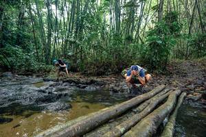 BIB: 
                            <button type="button" onclick="openModal(26432244)" class="btn btn-primary btn-sm float-right btn-popup" data-toggle="modal" data-target=".modal-high-quality">
                        <i class="fas fa-shopping-cart"></i> Add to Cart
                    </button>
                                            <button type="button" onclick="isThisMe(26432244, true)" class="btn btn-success btn-sm float-right btn-popup btn-isme hidden" data-toggle="tooltip" data-placement="bottom" title="นี่คือรูปของคุณใช่ไหม คลิกที่นี่เพื่อเอาเข้าอัลบั้ม">
                        <i class="fas fa-plus"></i> Add to album
                    </button>
                    <button type="button" onclick="isThisMe(26432244, false)" class="btn btn-warning btn-sm float-right btn-popup btn-isnotme hidden">
                        <i class="fas fa-ban"></i> Remove from album
                    </button>