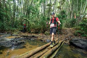 BIB: 
                            <button type="button" onclick="openModal(26501432)" class="btn btn-primary btn-sm float-right btn-popup" data-toggle="modal" data-target=".modal-high-quality">
                        <i class="fas fa-shopping-cart"></i> Add to Cart
                    </button>
                                            <button type="button" onclick="isThisMe(26501432, true)" class="btn btn-success btn-sm float-right btn-popup btn-isme hidden" data-toggle="tooltip" data-placement="bottom" title="นี่คือรูปของคุณใช่ไหม คลิกที่นี่เพื่อเอาเข้าอัลบั้ม">
                        <i class="fas fa-plus"></i> Add to album
                    </button>
                    <button type="button" onclick="isThisMe(26501432, false)" class="btn btn-warning btn-sm float-right btn-popup btn-isnotme hidden">
                        <i class="fas fa-ban"></i> Remove from album
                    </button>