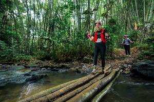 BIB: 
                            <button type="button" onclick="openModal(26488772)" class="btn btn-primary btn-sm float-right btn-popup" data-toggle="modal" data-target=".modal-high-quality">
                        <i class="fas fa-shopping-cart"></i> Add to Cart
                    </button>
                                            <button type="button" onclick="isThisMe(26488772, true)" class="btn btn-success btn-sm float-right btn-popup btn-isme hidden" data-toggle="tooltip" data-placement="bottom" title="นี่คือรูปของคุณใช่ไหม คลิกที่นี่เพื่อเอาเข้าอัลบั้ม">
                        <i class="fas fa-plus"></i> Add to album
                    </button>
                    <button type="button" onclick="isThisMe(26488772, false)" class="btn btn-warning btn-sm float-right btn-popup btn-isnotme hidden">
                        <i class="fas fa-ban"></i> Remove from album
                    </button>