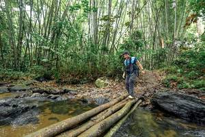 BIB: 
                            <button type="button" onclick="openModal(26440976)" class="btn btn-primary btn-sm float-right btn-popup" data-toggle="modal" data-target=".modal-high-quality">
                        <i class="fas fa-shopping-cart"></i> Add to Cart
                    </button>
                                            <button type="button" onclick="isThisMe(26440976, true)" class="btn btn-success btn-sm float-right btn-popup btn-isme hidden" data-toggle="tooltip" data-placement="bottom" title="นี่คือรูปของคุณใช่ไหม คลิกที่นี่เพื่อเอาเข้าอัลบั้ม">
                        <i class="fas fa-plus"></i> Add to album
                    </button>
                    <button type="button" onclick="isThisMe(26440976, false)" class="btn btn-warning btn-sm float-right btn-popup btn-isnotme hidden">
                        <i class="fas fa-ban"></i> Remove from album
                    </button>