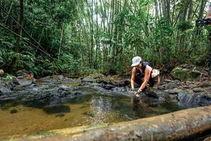 BIB: 
                            <button type="button" onclick="openModal(26458396)" class="btn btn-primary btn-sm float-right btn-popup" data-toggle="modal" data-target=".modal-high-quality">
                        <i class="fas fa-shopping-cart"></i> Add to Cart
                    </button>
                                            <button type="button" onclick="isThisMe(26458396, true)" class="btn btn-success btn-sm float-right btn-popup btn-isme hidden" data-toggle="tooltip" data-placement="bottom" title="นี่คือรูปของคุณใช่ไหม คลิกที่นี่เพื่อเอาเข้าอัลบั้ม">
                        <i class="fas fa-plus"></i> Add to album
                    </button>
                    <button type="button" onclick="isThisMe(26458396, false)" class="btn btn-warning btn-sm float-right btn-popup btn-isnotme hidden">
                        <i class="fas fa-ban"></i> Remove from album
                    </button>