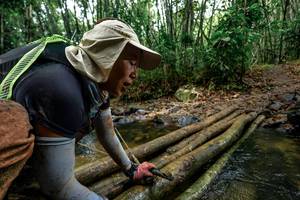 BIB: 
                            <button type="button" onclick="openModal(26442217)" class="btn btn-primary btn-sm float-right btn-popup" data-toggle="modal" data-target=".modal-high-quality">
                        <i class="fas fa-shopping-cart"></i> Add to Cart
                    </button>
                                            <button type="button" onclick="isThisMe(26442217, true)" class="btn btn-success btn-sm float-right btn-popup btn-isme hidden" data-toggle="tooltip" data-placement="bottom" title="นี่คือรูปของคุณใช่ไหม คลิกที่นี่เพื่อเอาเข้าอัลบั้ม">
                        <i class="fas fa-plus"></i> Add to album
                    </button>
                    <button type="button" onclick="isThisMe(26442217, false)" class="btn btn-warning btn-sm float-right btn-popup btn-isnotme hidden">
                        <i class="fas fa-ban"></i> Remove from album
                    </button>