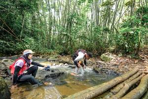 BIB: 
                            <button type="button" onclick="openModal(26447124)" class="btn btn-primary btn-sm float-right btn-popup" data-toggle="modal" data-target=".modal-high-quality">
                        <i class="fas fa-shopping-cart"></i> Add to Cart
                    </button>
                                            <button type="button" onclick="isThisMe(26447124, true)" class="btn btn-success btn-sm float-right btn-popup btn-isme hidden" data-toggle="tooltip" data-placement="bottom" title="นี่คือรูปของคุณใช่ไหม คลิกที่นี่เพื่อเอาเข้าอัลบั้ม">
                        <i class="fas fa-plus"></i> Add to album
                    </button>
                    <button type="button" onclick="isThisMe(26447124, false)" class="btn btn-warning btn-sm float-right btn-popup btn-isnotme hidden">
                        <i class="fas fa-ban"></i> Remove from album
                    </button>