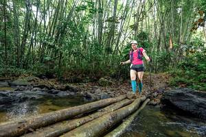 BIB: 
                            <button type="button" onclick="openModal(26430637)" class="btn btn-primary btn-sm float-right btn-popup" data-toggle="modal" data-target=".modal-high-quality">
                        <i class="fas fa-shopping-cart"></i> Add to Cart
                    </button>
                                            <button type="button" onclick="isThisMe(26430637, true)" class="btn btn-success btn-sm float-right btn-popup btn-isme hidden" data-toggle="tooltip" data-placement="bottom" title="นี่คือรูปของคุณใช่ไหม คลิกที่นี่เพื่อเอาเข้าอัลบั้ม">
                        <i class="fas fa-plus"></i> Add to album
                    </button>
                    <button type="button" onclick="isThisMe(26430637, false)" class="btn btn-warning btn-sm float-right btn-popup btn-isnotme hidden">
                        <i class="fas fa-ban"></i> Remove from album
                    </button>