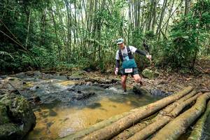 BIB: 
                            <button type="button" onclick="openModal(26501122)" class="btn btn-primary btn-sm float-right btn-popup" data-toggle="modal" data-target=".modal-high-quality">
                        <i class="fas fa-shopping-cart"></i> Add to Cart
                    </button>
                                            <button type="button" onclick="isThisMe(26501122, true)" class="btn btn-success btn-sm float-right btn-popup btn-isme hidden" data-toggle="tooltip" data-placement="bottom" title="นี่คือรูปของคุณใช่ไหม คลิกที่นี่เพื่อเอาเข้าอัลบั้ม">
                        <i class="fas fa-plus"></i> Add to album
                    </button>
                    <button type="button" onclick="isThisMe(26501122, false)" class="btn btn-warning btn-sm float-right btn-popup btn-isnotme hidden">
                        <i class="fas fa-ban"></i> Remove from album
                    </button>