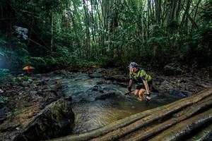 BIB: 
                            <button type="button" onclick="openModal(26494190)" class="btn btn-primary btn-sm float-right btn-popup" data-toggle="modal" data-target=".modal-high-quality">
                        <i class="fas fa-shopping-cart"></i> Add to Cart
                    </button>
                                            <button type="button" onclick="isThisMe(26494190, true)" class="btn btn-success btn-sm float-right btn-popup btn-isme hidden" data-toggle="tooltip" data-placement="bottom" title="นี่คือรูปของคุณใช่ไหม คลิกที่นี่เพื่อเอาเข้าอัลบั้ม">
                        <i class="fas fa-plus"></i> Add to album
                    </button>
                    <button type="button" onclick="isThisMe(26494190, false)" class="btn btn-warning btn-sm float-right btn-popup btn-isnotme hidden">
                        <i class="fas fa-ban"></i> Remove from album
                    </button>