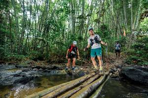 BIB: 
                            <button type="button" onclick="openModal(26472818)" class="btn btn-primary btn-sm float-right btn-popup" data-toggle="modal" data-target=".modal-high-quality">
                        <i class="fas fa-shopping-cart"></i> Add to Cart
                    </button>
                                            <button type="button" onclick="isThisMe(26472818, true)" class="btn btn-success btn-sm float-right btn-popup btn-isme hidden" data-toggle="tooltip" data-placement="bottom" title="นี่คือรูปของคุณใช่ไหม คลิกที่นี่เพื่อเอาเข้าอัลบั้ม">
                        <i class="fas fa-plus"></i> Add to album
                    </button>
                    <button type="button" onclick="isThisMe(26472818, false)" class="btn btn-warning btn-sm float-right btn-popup btn-isnotme hidden">
                        <i class="fas fa-ban"></i> Remove from album
                    </button>