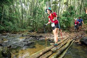 BIB: 
                            <button type="button" onclick="openModal(26435876)" class="btn btn-primary btn-sm float-right btn-popup" data-toggle="modal" data-target=".modal-high-quality">
                        <i class="fas fa-shopping-cart"></i> Add to Cart
                    </button>
                                            <button type="button" onclick="isThisMe(26435876, true)" class="btn btn-success btn-sm float-right btn-popup btn-isme hidden" data-toggle="tooltip" data-placement="bottom" title="นี่คือรูปของคุณใช่ไหม คลิกที่นี่เพื่อเอาเข้าอัลบั้ม">
                        <i class="fas fa-plus"></i> Add to album
                    </button>
                    <button type="button" onclick="isThisMe(26435876, false)" class="btn btn-warning btn-sm float-right btn-popup btn-isnotme hidden">
                        <i class="fas fa-ban"></i> Remove from album
                    </button>