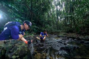 BIB: 
                            <button type="button" onclick="openModal(26426769)" class="btn btn-primary btn-sm float-right btn-popup" data-toggle="modal" data-target=".modal-high-quality">
                        <i class="fas fa-shopping-cart"></i> Add to Cart
                    </button>
                                            <button type="button" onclick="isThisMe(26426769, true)" class="btn btn-success btn-sm float-right btn-popup btn-isme hidden" data-toggle="tooltip" data-placement="bottom" title="นี่คือรูปของคุณใช่ไหม คลิกที่นี่เพื่อเอาเข้าอัลบั้ม">
                        <i class="fas fa-plus"></i> Add to album
                    </button>
                    <button type="button" onclick="isThisMe(26426769, false)" class="btn btn-warning btn-sm float-right btn-popup btn-isnotme hidden">
                        <i class="fas fa-ban"></i> Remove from album
                    </button>