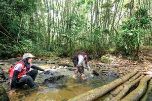 BIB: 
                            <button type="button" onclick="openModal(26447031)" class="btn btn-primary btn-sm float-right btn-popup" data-toggle="modal" data-target=".modal-high-quality">
                        <i class="fas fa-shopping-cart"></i> Add to Cart
                    </button>
                                            <button type="button" onclick="isThisMe(26447031, true)" class="btn btn-success btn-sm float-right btn-popup btn-isme hidden" data-toggle="tooltip" data-placement="bottom" title="นี่คือรูปของคุณใช่ไหม คลิกที่นี่เพื่อเอาเข้าอัลบั้ม">
                        <i class="fas fa-plus"></i> Add to album
                    </button>
                    <button type="button" onclick="isThisMe(26447031, false)" class="btn btn-warning btn-sm float-right btn-popup btn-isnotme hidden">
                        <i class="fas fa-ban"></i> Remove from album
                    </button>