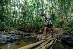 BIB: 
                            <button type="button" onclick="openModal(26454476)" class="btn btn-primary btn-sm float-right btn-popup" data-toggle="modal" data-target=".modal-high-quality">
                        <i class="fas fa-shopping-cart"></i> Add to Cart
                    </button>
                                            <button type="button" onclick="isThisMe(26454476, true)" class="btn btn-success btn-sm float-right btn-popup btn-isme hidden" data-toggle="tooltip" data-placement="bottom" title="นี่คือรูปของคุณใช่ไหม คลิกที่นี่เพื่อเอาเข้าอัลบั้ม">
                        <i class="fas fa-plus"></i> Add to album
                    </button>
                    <button type="button" onclick="isThisMe(26454476, false)" class="btn btn-warning btn-sm float-right btn-popup btn-isnotme hidden">
                        <i class="fas fa-ban"></i> Remove from album
                    </button>