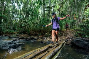 BIB: 
                            <button type="button" onclick="openModal(26478466)" class="btn btn-primary btn-sm float-right btn-popup" data-toggle="modal" data-target=".modal-high-quality">
                        <i class="fas fa-shopping-cart"></i> Add to Cart
                    </button>
                                            <button type="button" onclick="isThisMe(26478466, true)" class="btn btn-success btn-sm float-right btn-popup btn-isme hidden" data-toggle="tooltip" data-placement="bottom" title="นี่คือรูปของคุณใช่ไหม คลิกที่นี่เพื่อเอาเข้าอัลบั้ม">
                        <i class="fas fa-plus"></i> Add to album
                    </button>
                    <button type="button" onclick="isThisMe(26478466, false)" class="btn btn-warning btn-sm float-right btn-popup btn-isnotme hidden">
                        <i class="fas fa-ban"></i> Remove from album
                    </button>