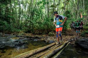 BIB: 
                            <button type="button" onclick="openModal(26503910)" class="btn btn-primary btn-sm float-right btn-popup" data-toggle="modal" data-target=".modal-high-quality">
                        <i class="fas fa-shopping-cart"></i> Add to Cart
                    </button>
                                            <button type="button" onclick="isThisMe(26503910, true)" class="btn btn-success btn-sm float-right btn-popup btn-isme hidden" data-toggle="tooltip" data-placement="bottom" title="นี่คือรูปของคุณใช่ไหม คลิกที่นี่เพื่อเอาเข้าอัลบั้ม">
                        <i class="fas fa-plus"></i> Add to album
                    </button>
                    <button type="button" onclick="isThisMe(26503910, false)" class="btn btn-warning btn-sm float-right btn-popup btn-isnotme hidden">
                        <i class="fas fa-ban"></i> Remove from album
                    </button>