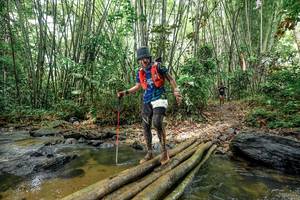 BIB: 
                            <button type="button" onclick="openModal(26466908)" class="btn btn-primary btn-sm float-right btn-popup" data-toggle="modal" data-target=".modal-high-quality">
                        <i class="fas fa-shopping-cart"></i> Add to Cart
                    </button>
                                            <button type="button" onclick="isThisMe(26466908, true)" class="btn btn-success btn-sm float-right btn-popup btn-isme hidden" data-toggle="tooltip" data-placement="bottom" title="นี่คือรูปของคุณใช่ไหม คลิกที่นี่เพื่อเอาเข้าอัลบั้ม">
                        <i class="fas fa-plus"></i> Add to album
                    </button>
                    <button type="button" onclick="isThisMe(26466908, false)" class="btn btn-warning btn-sm float-right btn-popup btn-isnotme hidden">
                        <i class="fas fa-ban"></i> Remove from album
                    </button>