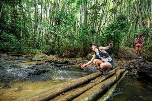 BIB: 
                            <button type="button" onclick="openModal(26503687)" class="btn btn-primary btn-sm float-right btn-popup" data-toggle="modal" data-target=".modal-high-quality">
                        <i class="fas fa-shopping-cart"></i> Add to Cart
                    </button>
                                            <button type="button" onclick="isThisMe(26503687, true)" class="btn btn-success btn-sm float-right btn-popup btn-isme hidden" data-toggle="tooltip" data-placement="bottom" title="นี่คือรูปของคุณใช่ไหม คลิกที่นี่เพื่อเอาเข้าอัลบั้ม">
                        <i class="fas fa-plus"></i> Add to album
                    </button>
                    <button type="button" onclick="isThisMe(26503687, false)" class="btn btn-warning btn-sm float-right btn-popup btn-isnotme hidden">
                        <i class="fas fa-ban"></i> Remove from album
                    </button>