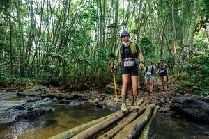 BIB: 
                            <button type="button" onclick="openModal(26464593)" class="btn btn-primary btn-sm float-right btn-popup" data-toggle="modal" data-target=".modal-high-quality">
                        <i class="fas fa-shopping-cart"></i> Add to Cart
                    </button>
                                            <button type="button" onclick="isThisMe(26464593, true)" class="btn btn-success btn-sm float-right btn-popup btn-isme hidden" data-toggle="tooltip" data-placement="bottom" title="นี่คือรูปของคุณใช่ไหม คลิกที่นี่เพื่อเอาเข้าอัลบั้ม">
                        <i class="fas fa-plus"></i> Add to album
                    </button>
                    <button type="button" onclick="isThisMe(26464593, false)" class="btn btn-warning btn-sm float-right btn-popup btn-isnotme hidden">
                        <i class="fas fa-ban"></i> Remove from album
                    </button>