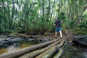 BIB: 
                            <button type="button" onclick="openModal(26432469)" class="btn btn-primary btn-sm float-right btn-popup" data-toggle="modal" data-target=".modal-high-quality">
                        <i class="fas fa-shopping-cart"></i> Add to Cart
                    </button>
                                            <button type="button" onclick="isThisMe(26432469, true)" class="btn btn-success btn-sm float-right btn-popup btn-isme hidden" data-toggle="tooltip" data-placement="bottom" title="นี่คือรูปของคุณใช่ไหม คลิกที่นี่เพื่อเอาเข้าอัลบั้ม">
                        <i class="fas fa-plus"></i> Add to album
                    </button>
                    <button type="button" onclick="isThisMe(26432469, false)" class="btn btn-warning btn-sm float-right btn-popup btn-isnotme hidden">
                        <i class="fas fa-ban"></i> Remove from album
                    </button>