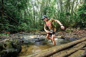 BIB: 
                            <button type="button" onclick="openModal(26444595)" class="btn btn-primary btn-sm float-right btn-popup" data-toggle="modal" data-target=".modal-high-quality">
                        <i class="fas fa-shopping-cart"></i> Add to Cart
                    </button>
                                            <button type="button" onclick="isThisMe(26444595, true)" class="btn btn-success btn-sm float-right btn-popup btn-isme hidden" data-toggle="tooltip" data-placement="bottom" title="นี่คือรูปของคุณใช่ไหม คลิกที่นี่เพื่อเอาเข้าอัลบั้ม">
                        <i class="fas fa-plus"></i> Add to album
                    </button>
                    <button type="button" onclick="isThisMe(26444595, false)" class="btn btn-warning btn-sm float-right btn-popup btn-isnotme hidden">
                        <i class="fas fa-ban"></i> Remove from album
                    </button>