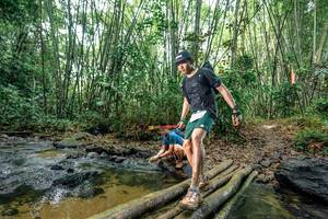 BIB: 
                            <button type="button" onclick="openModal(26436044)" class="btn btn-primary btn-sm float-right btn-popup" data-toggle="modal" data-target=".modal-high-quality">
                        <i class="fas fa-shopping-cart"></i> Add to Cart
                    </button>
                                            <button type="button" onclick="isThisMe(26436044, true)" class="btn btn-success btn-sm float-right btn-popup btn-isme hidden" data-toggle="tooltip" data-placement="bottom" title="นี่คือรูปของคุณใช่ไหม คลิกที่นี่เพื่อเอาเข้าอัลบั้ม">
                        <i class="fas fa-plus"></i> Add to album
                    </button>
                    <button type="button" onclick="isThisMe(26436044, false)" class="btn btn-warning btn-sm float-right btn-popup btn-isnotme hidden">
                        <i class="fas fa-ban"></i> Remove from album
                    </button>