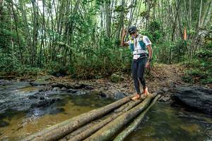 BIB: 
                            <button type="button" onclick="openModal(26500747)" class="btn btn-primary btn-sm float-right btn-popup" data-toggle="modal" data-target=".modal-high-quality">
                        <i class="fas fa-shopping-cart"></i> Add to Cart
                    </button>
                                            <button type="button" onclick="isThisMe(26500747, true)" class="btn btn-success btn-sm float-right btn-popup btn-isme hidden" data-toggle="tooltip" data-placement="bottom" title="นี่คือรูปของคุณใช่ไหม คลิกที่นี่เพื่อเอาเข้าอัลบั้ม">
                        <i class="fas fa-plus"></i> Add to album
                    </button>
                    <button type="button" onclick="isThisMe(26500747, false)" class="btn btn-warning btn-sm float-right btn-popup btn-isnotme hidden">
                        <i class="fas fa-ban"></i> Remove from album
                    </button>