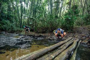 BIB: 
                            <button type="button" onclick="openModal(26432142)" class="btn btn-primary btn-sm float-right btn-popup" data-toggle="modal" data-target=".modal-high-quality">
                        <i class="fas fa-shopping-cart"></i> Add to Cart
                    </button>
                                            <button type="button" onclick="isThisMe(26432142, true)" class="btn btn-success btn-sm float-right btn-popup btn-isme hidden" data-toggle="tooltip" data-placement="bottom" title="นี่คือรูปของคุณใช่ไหม คลิกที่นี่เพื่อเอาเข้าอัลบั้ม">
                        <i class="fas fa-plus"></i> Add to album
                    </button>
                    <button type="button" onclick="isThisMe(26432142, false)" class="btn btn-warning btn-sm float-right btn-popup btn-isnotme hidden">
                        <i class="fas fa-ban"></i> Remove from album
                    </button>