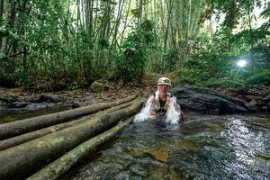 BIB: 
                            <button type="button" onclick="openModal(26436505)" class="btn btn-primary btn-sm float-right btn-popup" data-toggle="modal" data-target=".modal-high-quality">
                        <i class="fas fa-shopping-cart"></i> Add to Cart
                    </button>
                                            <button type="button" onclick="isThisMe(26436505, true)" class="btn btn-success btn-sm float-right btn-popup btn-isme hidden" data-toggle="tooltip" data-placement="bottom" title="นี่คือรูปของคุณใช่ไหม คลิกที่นี่เพื่อเอาเข้าอัลบั้ม">
                        <i class="fas fa-plus"></i> Add to album
                    </button>
                    <button type="button" onclick="isThisMe(26436505, false)" class="btn btn-warning btn-sm float-right btn-popup btn-isnotme hidden">
                        <i class="fas fa-ban"></i> Remove from album
                    </button>