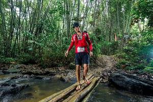 BIB: 
                            <button type="button" onclick="openModal(26495969)" class="btn btn-primary btn-sm float-right btn-popup" data-toggle="modal" data-target=".modal-high-quality">
                        <i class="fas fa-shopping-cart"></i> Add to Cart
                    </button>
                                            <button type="button" onclick="isThisMe(26495969, true)" class="btn btn-success btn-sm float-right btn-popup btn-isme hidden" data-toggle="tooltip" data-placement="bottom" title="นี่คือรูปของคุณใช่ไหม คลิกที่นี่เพื่อเอาเข้าอัลบั้ม">
                        <i class="fas fa-plus"></i> Add to album
                    </button>
                    <button type="button" onclick="isThisMe(26495969, false)" class="btn btn-warning btn-sm float-right btn-popup btn-isnotme hidden">
                        <i class="fas fa-ban"></i> Remove from album
                    </button>