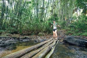 BIB: 
                            <button type="button" onclick="openModal(26425204)" class="btn btn-primary btn-sm float-right btn-popup" data-toggle="modal" data-target=".modal-high-quality">
                        <i class="fas fa-shopping-cart"></i> Add to Cart
                    </button>
                                            <button type="button" onclick="isThisMe(26425204, true)" class="btn btn-success btn-sm float-right btn-popup btn-isme hidden" data-toggle="tooltip" data-placement="bottom" title="นี่คือรูปของคุณใช่ไหม คลิกที่นี่เพื่อเอาเข้าอัลบั้ม">
                        <i class="fas fa-plus"></i> Add to album
                    </button>
                    <button type="button" onclick="isThisMe(26425204, false)" class="btn btn-warning btn-sm float-right btn-popup btn-isnotme hidden">
                        <i class="fas fa-ban"></i> Remove from album
                    </button>