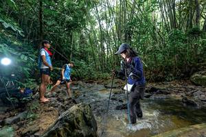 BIB: 
                            <button type="button" onclick="openModal(26460773)" class="btn btn-primary btn-sm float-right btn-popup" data-toggle="modal" data-target=".modal-high-quality">
                        <i class="fas fa-shopping-cart"></i> Add to Cart
                    </button>
                                            <button type="button" onclick="isThisMe(26460773, true)" class="btn btn-success btn-sm float-right btn-popup btn-isme hidden" data-toggle="tooltip" data-placement="bottom" title="นี่คือรูปของคุณใช่ไหม คลิกที่นี่เพื่อเอาเข้าอัลบั้ม">
                        <i class="fas fa-plus"></i> Add to album
                    </button>
                    <button type="button" onclick="isThisMe(26460773, false)" class="btn btn-warning btn-sm float-right btn-popup btn-isnotme hidden">
                        <i class="fas fa-ban"></i> Remove from album
                    </button>